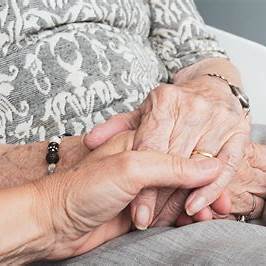 image pour galerie aines 2